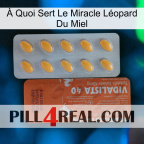 À Quoi Sert Le Miracle Léopard Du Miel 43